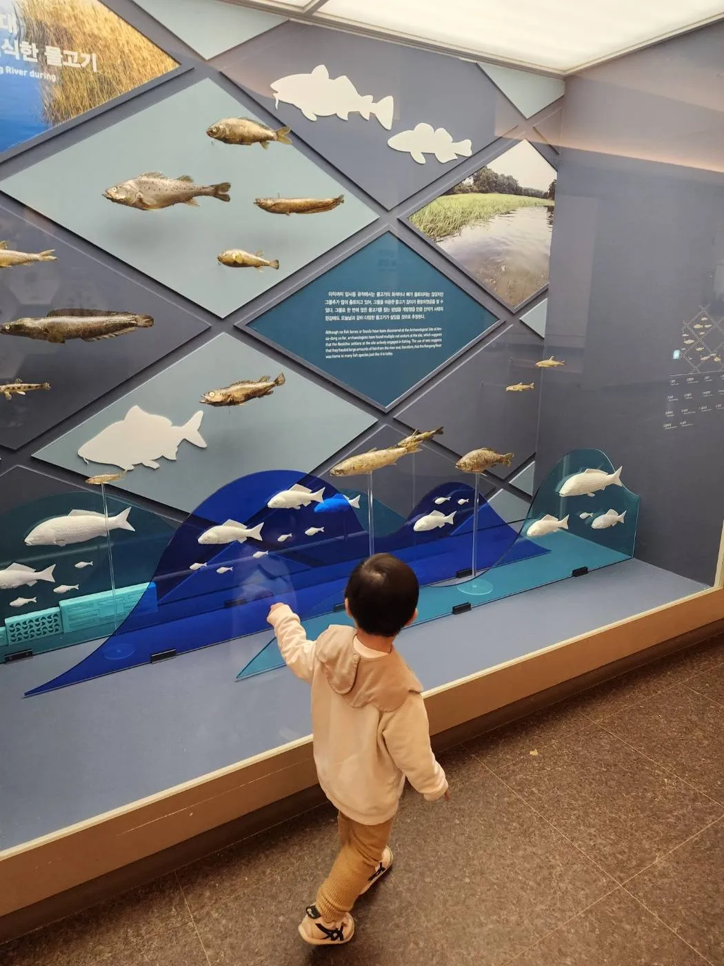 물고기 전시를 구경하는 아이