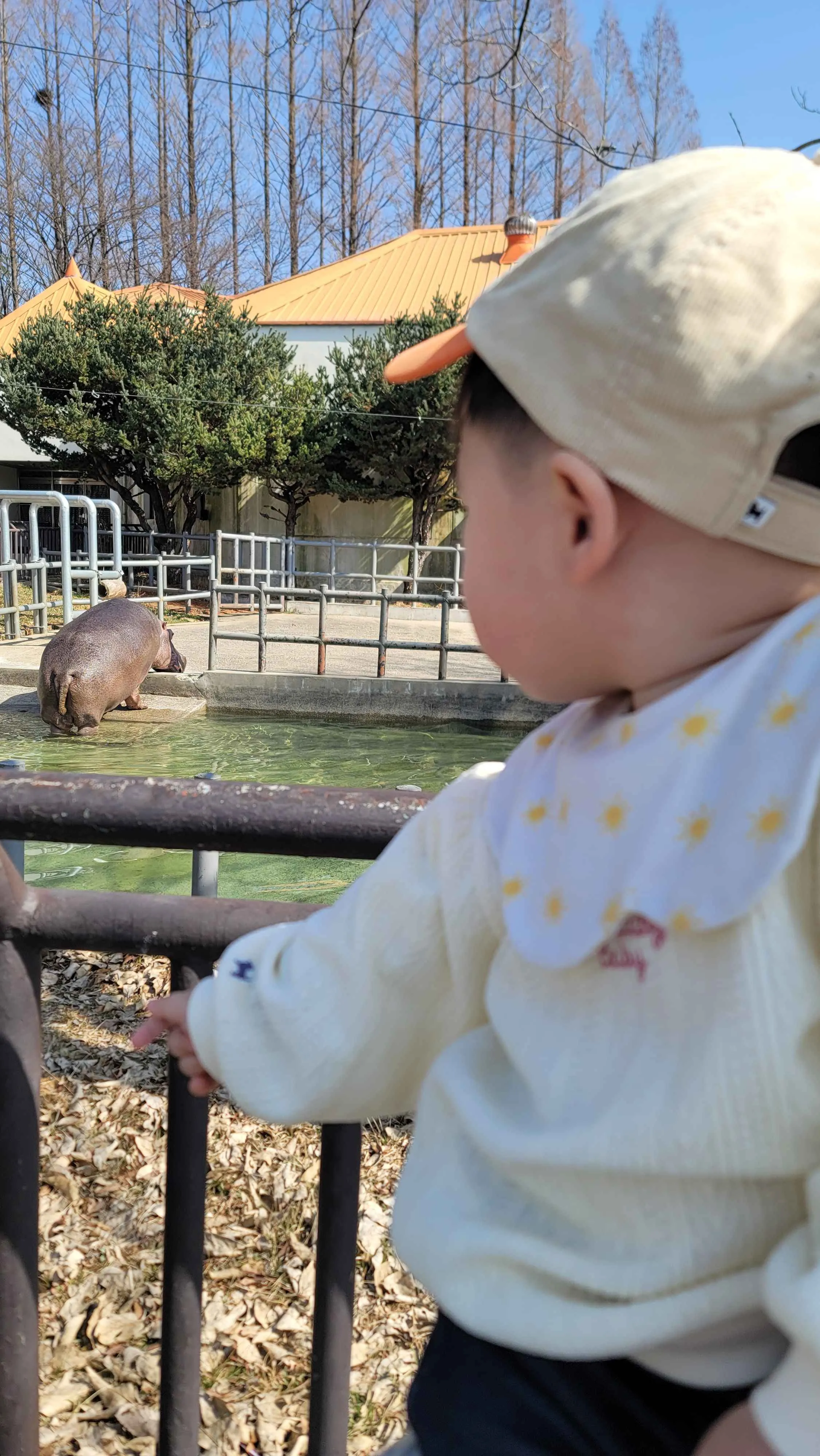 아기가 하마를 바라보는 모습